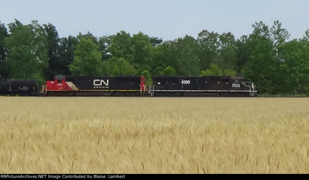 CN A40891